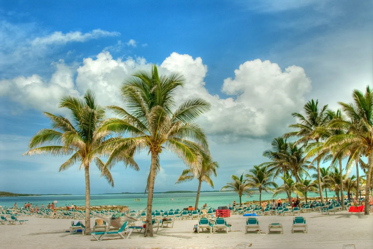 Beach Bums Adventurous Tour artwork