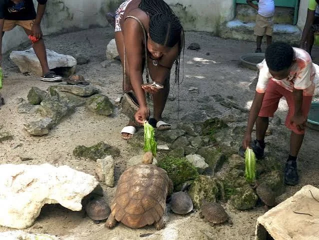 Nassau tour gallery photo 35